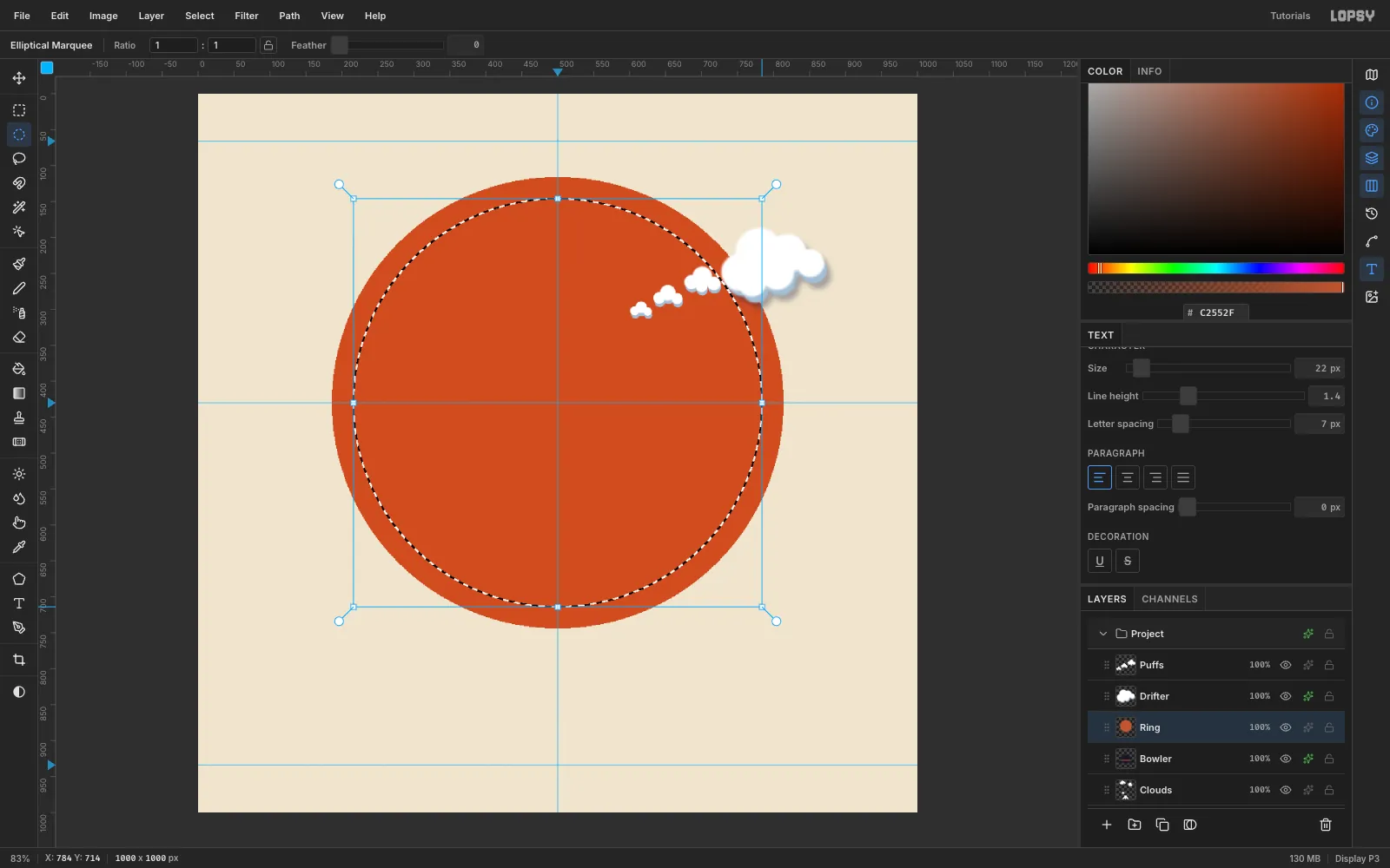 A terracotta ring around the disc, shown while a circular marquee selects its inside before Delete