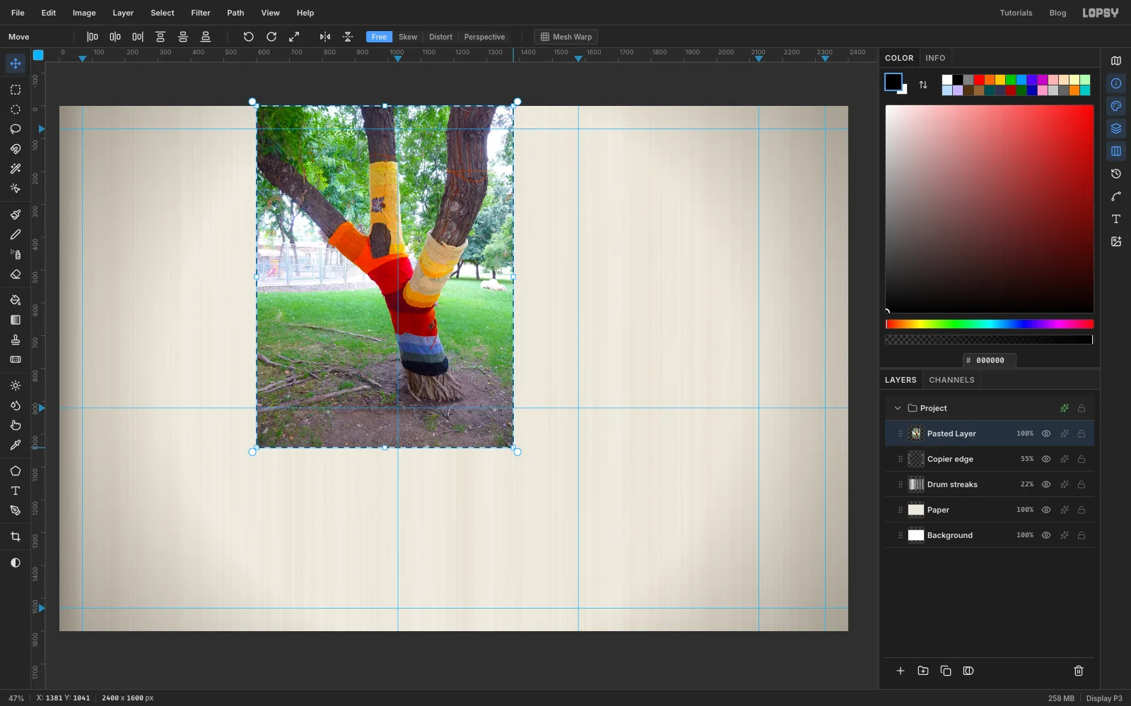 The pasted tree photo with its transform box, being dragged smaller from the bottom-right corner